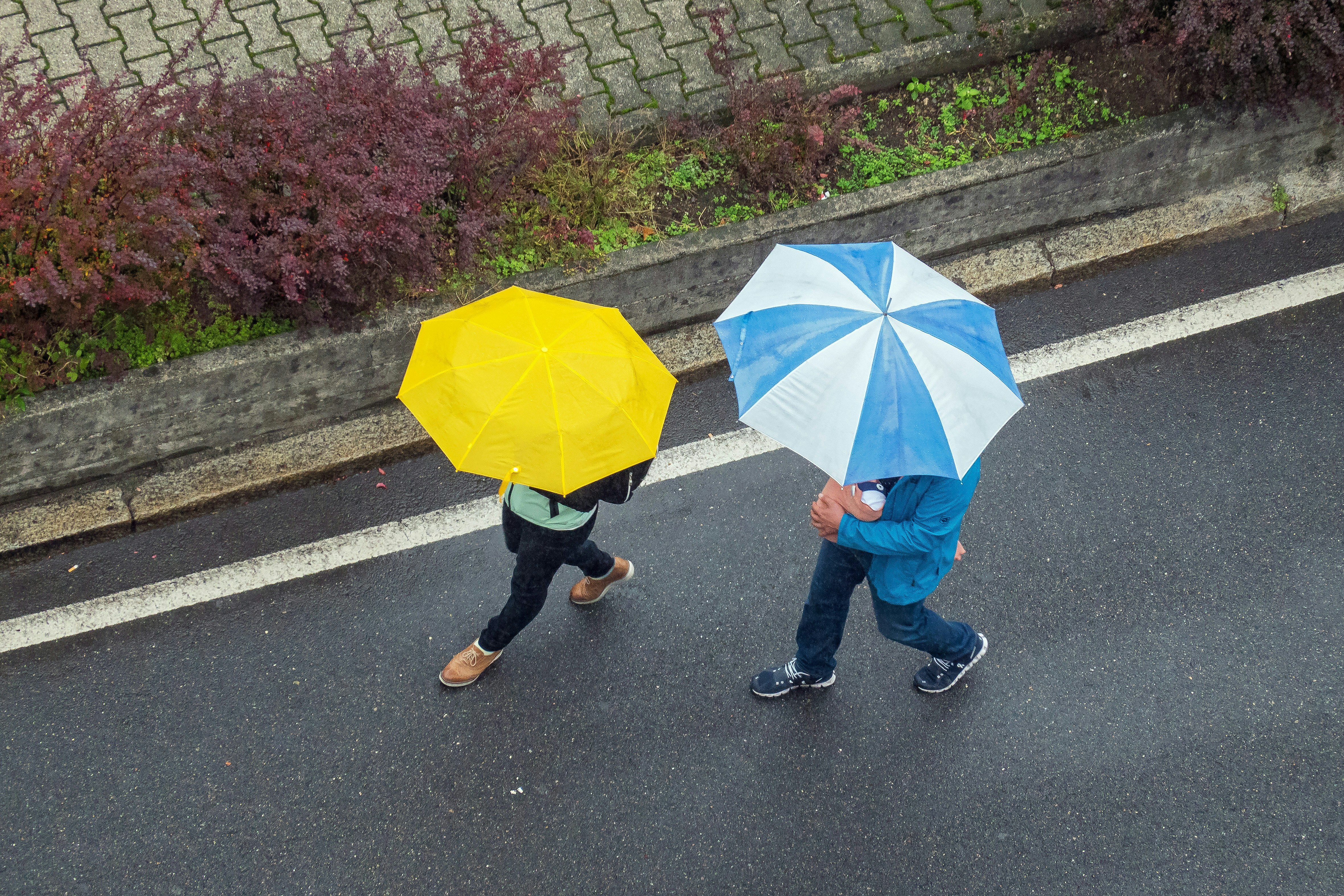 Schade door klimaatverandering en extreem weer: hoe wapen je je ertegen?
